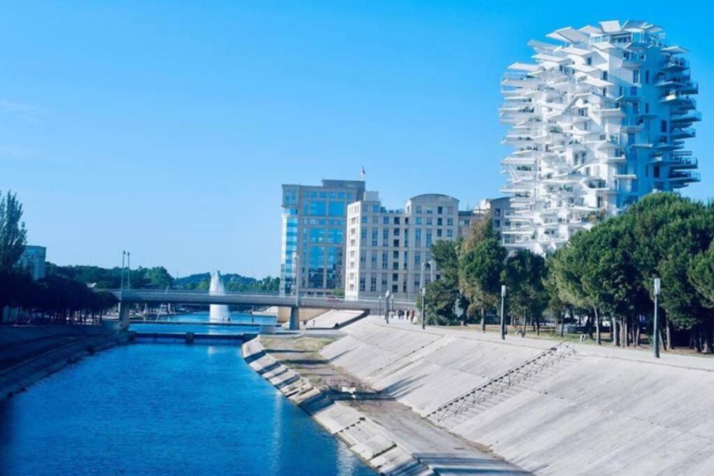 Appartement T2 A L'Arbre Blanc Montpellier Luaran gambar